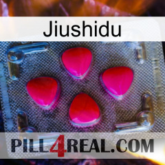 Jiushidu 13